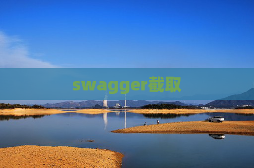 swagger截取